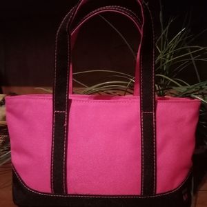 Very cute small tote makeup bag.
